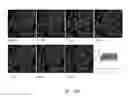 Fig. 15 - Mitochondria-targeting fluorescent potassium+ sensor and method of making the same