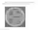 Fig. 30 - Antibacterial sideromycins