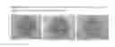 Fig. 35 - Antibacterial sideromycins