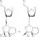 Fig. 43 - Enhanced coupling of stereodefined oxazaphospholidine phosphoramidite monomers to nucleoside or oligonucleotide