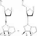 Fig. 44 - Enhanced coupling of stereodefined oxazaphospholidine phosphoramidite monomers to nucleoside or oligonucleotide