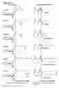 Fig. 13 - Utility of nematode small molecules