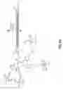 Fig. 09 - Tetragalnac and peptide containing conjugates and methods for delivery of oligonucleotides