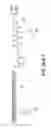 Fig. 152 - Tetragalnac and peptide containing conjugates and methods for delivery of oligonucleotides