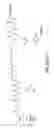 Fig. 167 - Tetragalnac and peptide containing conjugates and methods for delivery of oligonucleotides