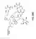 Fig. 191 - Tetragalnac and peptide containing conjugates and methods for delivery of oligonucleotides