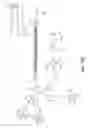 Fig. 49 - Tetragalnac and peptide containing conjugates and methods for delivery of oligonucleotides