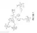 Fig. 55 - Tetragalnac and peptide containing conjugates and methods for delivery of oligonucleotides