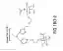 Fig. 68 - Tetragalnac and peptide containing conjugates and methods for delivery of oligonucleotides