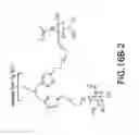 Fig. 74 - Tetragalnac and peptide containing conjugates and methods for delivery of oligonucleotides