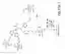 Fig. 75 - Tetragalnac and peptide containing conjugates and methods for delivery of oligonucleotides