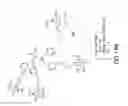 Fig. 86 - Tetragalnac and peptide containing conjugates and methods for delivery of oligonucleotides