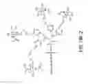 Fig. 96 - Tetragalnac and peptide containing conjugates and methods for delivery of oligonucleotides