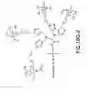 Fig. 98 - Tetragalnac and peptide containing conjugates and methods for delivery of oligonucleotides