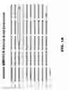 Fig. 02 - Anti-BMPR1B antibodies and methods of use