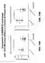 Fig. 41 - Anti-BMPR1B antibodies and methods of use