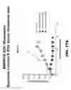 Fig. 46 - Anti-BMPR1B antibodies and methods of use