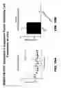 Fig. 48 - Anti-BMPR1B antibodies and methods of use