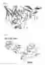 Fig. 02 - EPITOPES OF EPIDERMAL GROWTH FACTOR RECEPTOR SURFACE ANTIGEN AND USE THEREOF