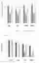 Fig. 01 - Composition comprising SP1 and carbon based nanoparticles and uses thereof