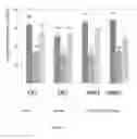 Fig. 07 - Composition comprising SP1 and carbon based nanoparticles and uses thereof
