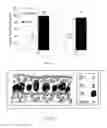 Fig. 22 - Composition comprising SP1 and carbon based nanoparticles and uses thereof