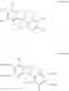 Fig. 45 - POLYMERS OF INTRINSIC MICROPOROSITY (PIMS) CONTAINING LOCKED SPIROBISINDANE STRUCTURES AND METHODS OF SYNTHESIS OF PIMS POLYMERS