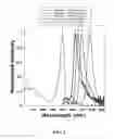 Fig. 02 - Polymeric BODIPY dyes and methods for using the same