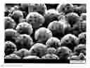 Fig. 01 - Organic polymeric particles, paper coating compositions, and methods