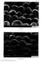 Fig. 02 - Organic polymeric particles, paper coating compositions, and methods