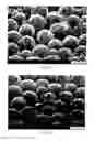 Fig. 04 - Organic polymeric particles, paper coating compositions, and methods