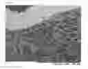 Fig. 04 - Thermoplastic Polyurethane Foam Particle Molded Article And Method For Producing Same, And Thermoplastic Polyurethane Foam Particles