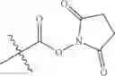 Fig. 24 - Ultra bright polymeric dyes with peptide backbones