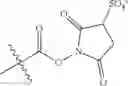 Fig. 25 - Ultra bright polymeric dyes with peptide backbones