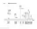 Fig. 02 - Graft copolymers and compositions thereof