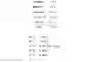 Fig. 02 - MG53 mutants, methods of making the same, and uses thereof
