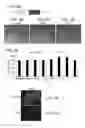 Fig. 09 - COMPOSITIONS COMPRISING PARTICLES AND METHODS FOR TREATING CANCER
