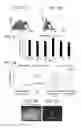 Fig. 12 - COMPOSITIONS COMPRISING PARTICLES AND METHODS FOR TREATING CANCER