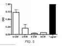 Fig. 06 - Method of fixing and expressing physiologically active substance