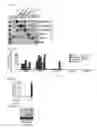 Fig. 09 - Compositions and methods for treating cancer