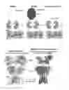Fig. 01 - Methods for modulating insect hygro- and/or thermosensation