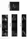 Fig. 04 - Methods for modulating insect hygro- and/or thermosensation