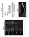 Fig. 08 - Methods for modulating insect hygro- and/or thermosensation