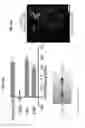 Fig. 23 - Methods for modulating insect hygro- and/or thermosensation