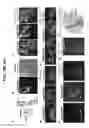 Fig. 44 - Methods for modulating insect hygro- and/or thermosensation