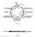 Fig. 02 - Microbial strain for electrosynthesis and electrofermentation