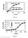 Fig. 03 - Microbial strain for electrosynthesis and electrofermentation