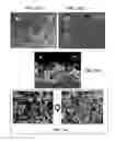 Fig. 04 - Method and device for preparing high strength and durable super-hydrophobic film layer on inner wall of elongated metal tube