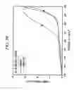 Fig. 07 - System for electrochemical of carbon dioxide