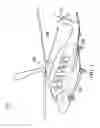 Fig. 02 - Floating ducts